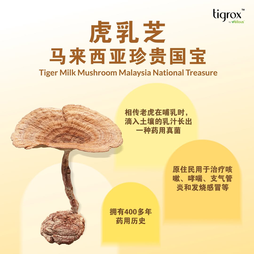 Wellous Tigrox 虎乳芝 护肺饮 - 止咳平喘、增强免疫力、润肺化痰